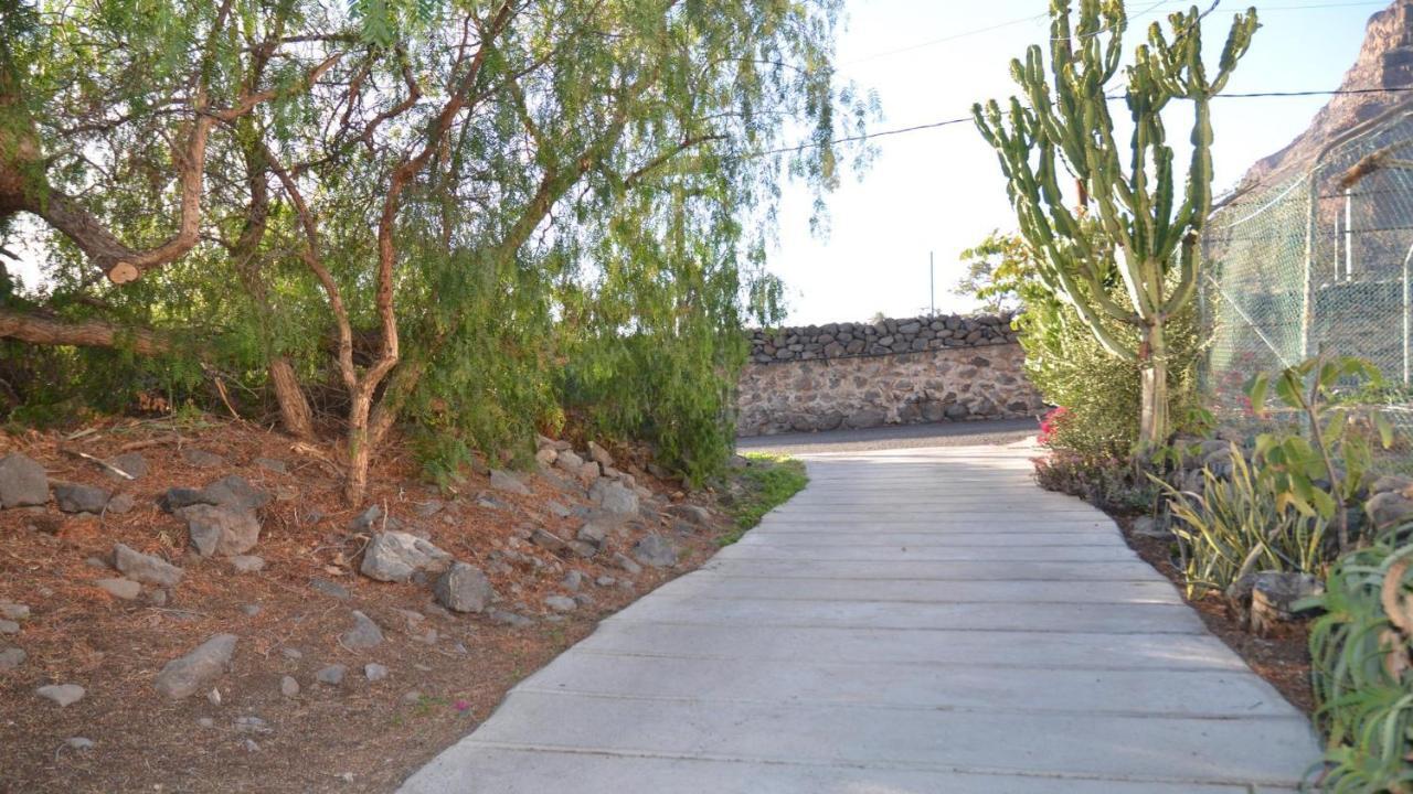Casita La Palmera Valle Gran Rey Buitenkant foto